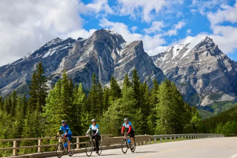 Three people riding bikes on an asphalt road, with tall pine trees and snowy mountains in the background