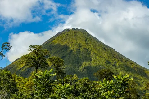 Tall hill covered in grass, with trees on the ground level