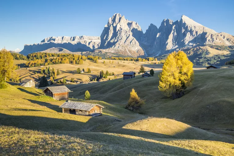 Green slopping hills in front of snowy mountains