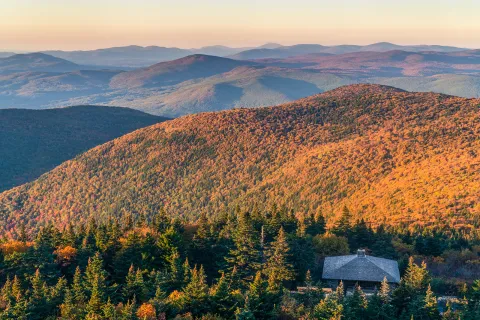 Large field of orange and green trees hit by the sun