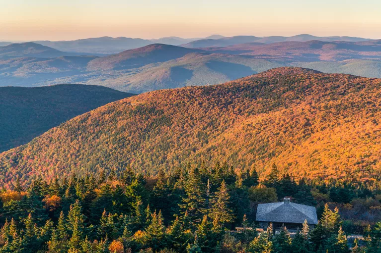 Large field of orange and green trees hit by the sun