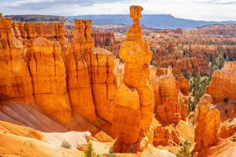 Large, separated canyons in a valley of orange canyons
