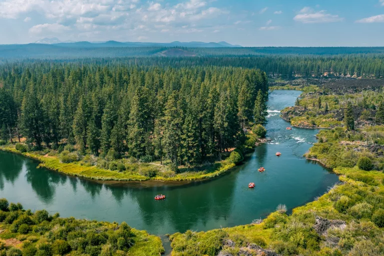 U-shaped river next to large valleys and pine trees