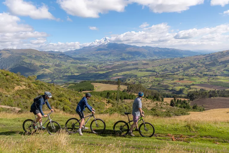 Bikers cycling through a grassy field