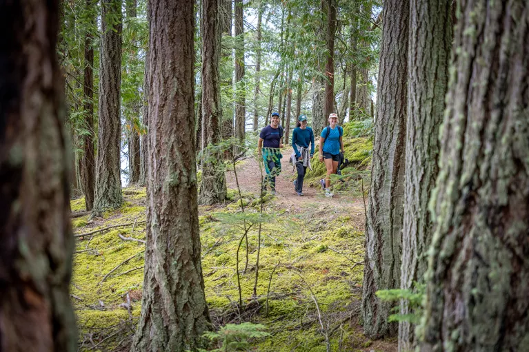 Two women and one man walking in the middle of a forest