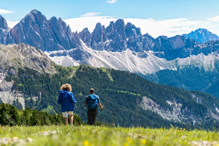 Two people with walking poles descending a grassy hill