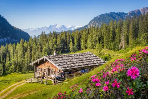 a wood house nestled in green hills