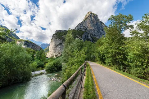 Road leading to mountains and trees