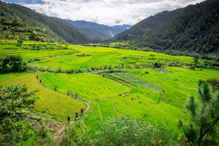 Open grass valley with a group of hikers walking one a dirt path