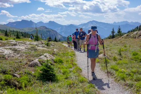 Group of hikers on a gravel trail, surrounded by bushes and plants, with tall mountains in the distance
