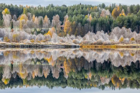 Lake surrounded by gray and orange trees with the reflection on the water