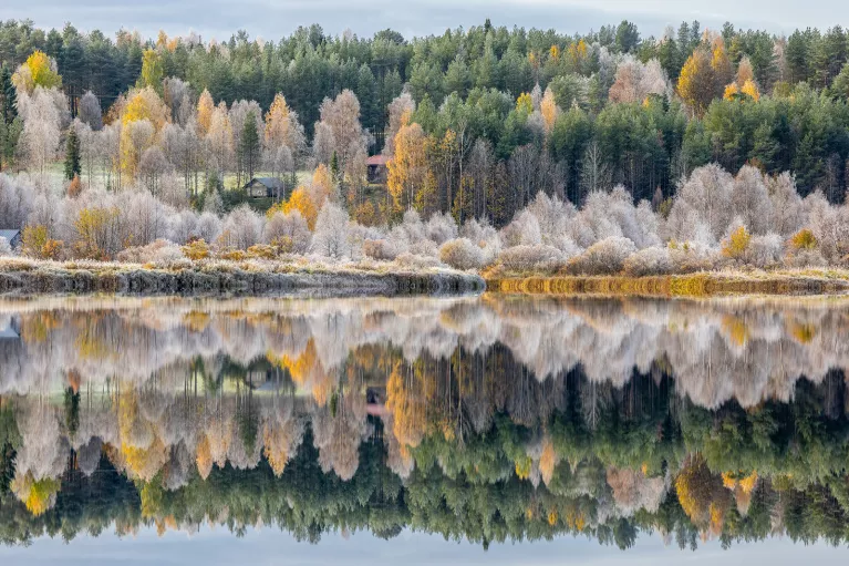 Lake surrounded by gray and orange trees with the reflection on the water