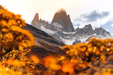 Trees with orange leaves on a hill, with snow-capped mountains in the distance