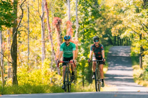 Man and woman riding bikes on an empty road, with tall trees surrounding the road