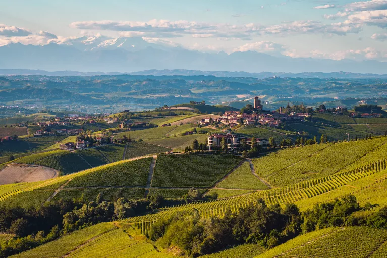 Large valley with crop fields and small towns