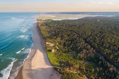 Sky view of a beach with a large forest to the right