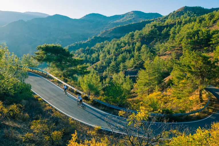 Group of people biking on an empty road with a forest in the background