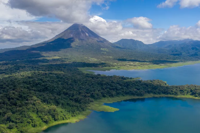 Sky view of forest surrounded by a large lake