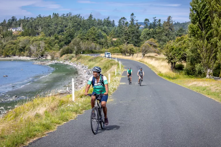 Three people biking on an empty road, with the ocean to the left and large trees in the background