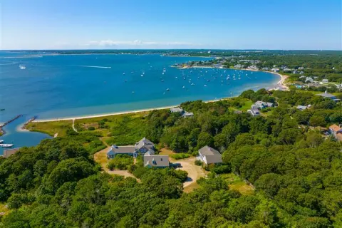 drone shot of green trees and houses on the coast