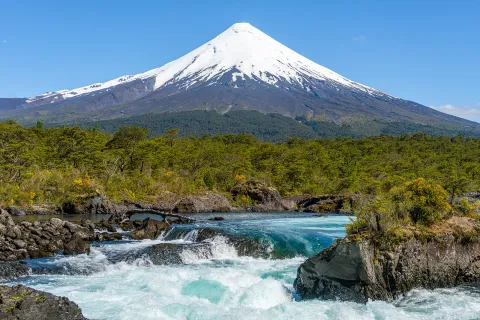 River with small waterfalls, surrounded by tall plants and a snow-capped mountain in the distance