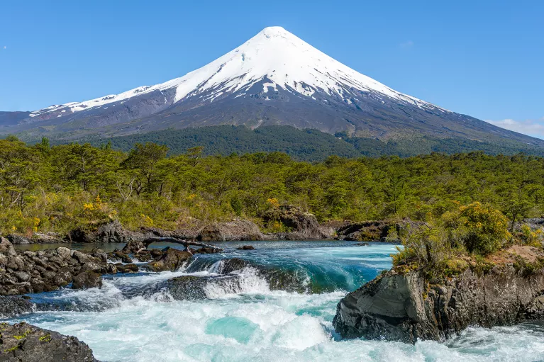 River with small waterfalls, surrounded by tall plants and a snow-capped mountain in the distance