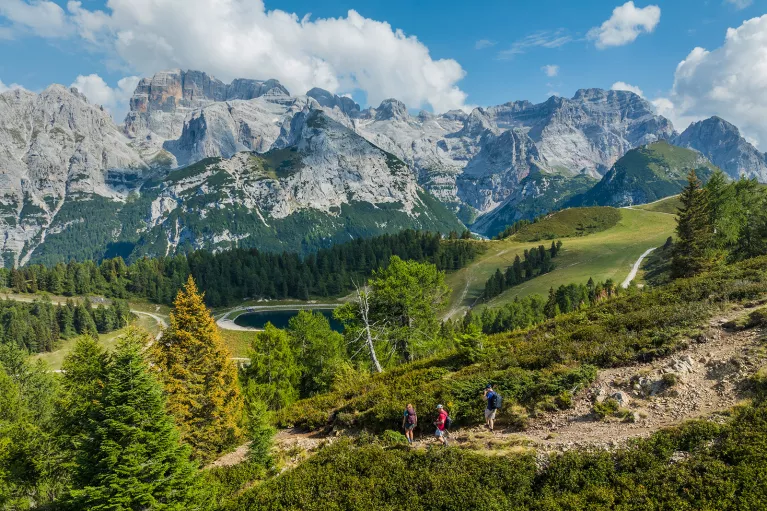 3 hikers descending a trail surrounded by trees and tall mountains