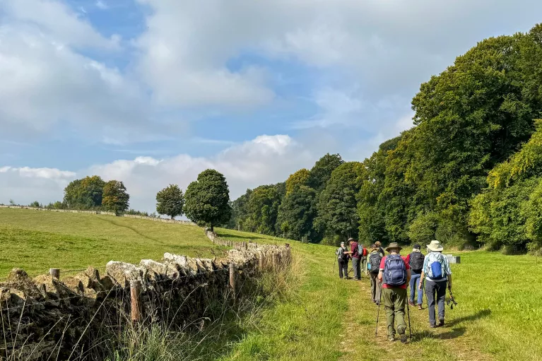 Group of people walking on a grassy trail with a forest to the right