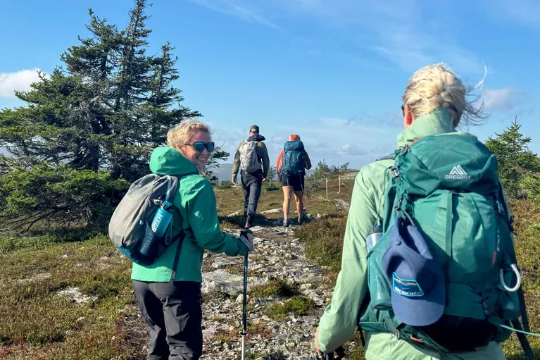 Group of people with walking poles, ascending a rocky trail