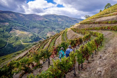 Man and woman hiking up a hill of crop fields