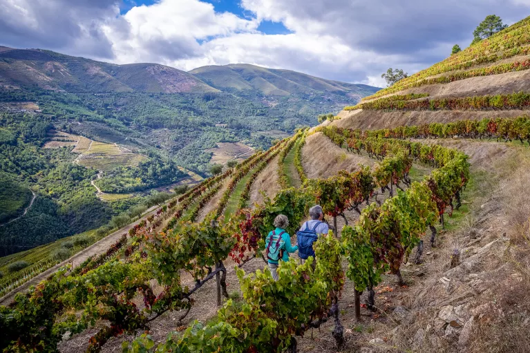 Man and woman hiking up a hill of crop fields