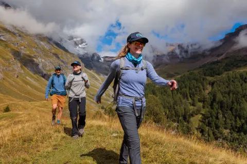 Guest laying in a field with cows