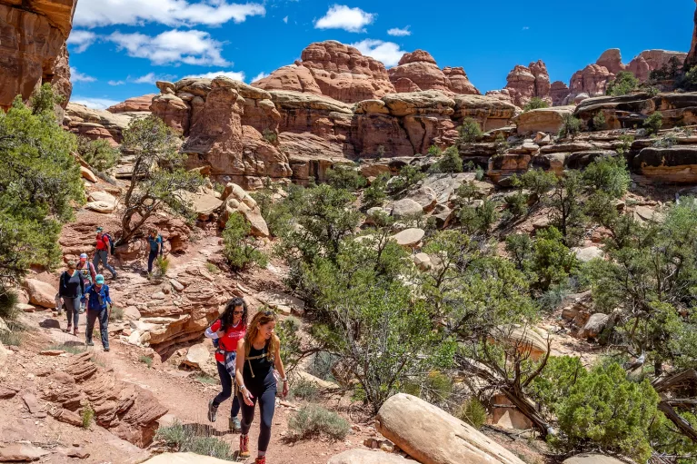 Group of people walking down a gravel trail on a canyon, with trees in the center