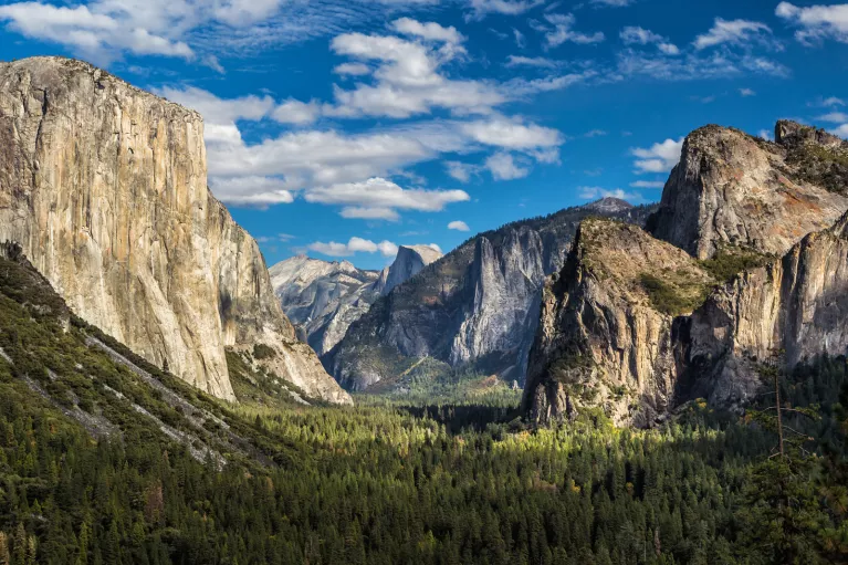Forest surrounded by tall mountains