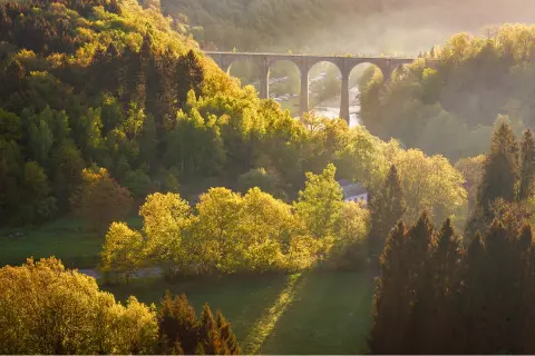 Large valley with tall trees, and a stone bridge in the background