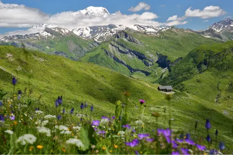 Large valley and hills with colorful flowers