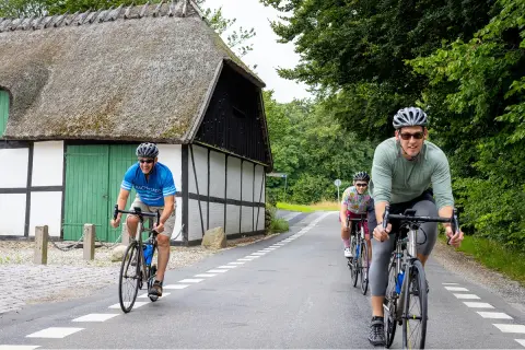 Group of men biking on a road, next to a white hut in the middle of a forest