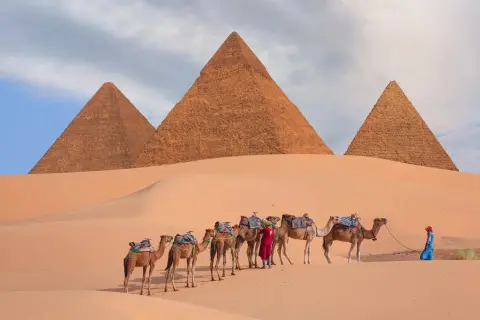 Giza Pyramid complex in Cairo, Egypt with a caravan of seven camels standing in a line across the rolling orange sand dunes.