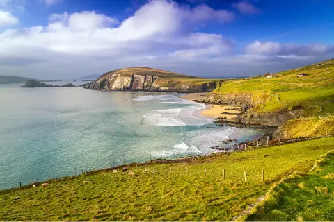 Dingle Peninsula in County Kerry, Ireland featuring a rugged coastline with dramatic cliffs.