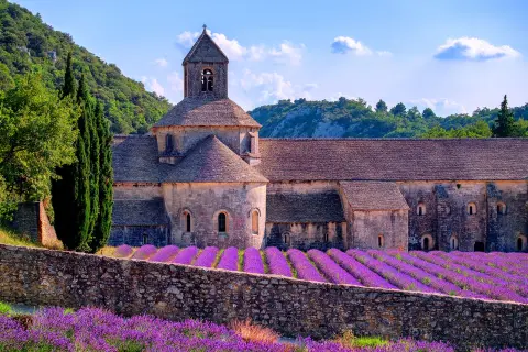 A historic stone abbey stands behind rows of vibrant purple lavender fields in full bloom. Cypress trees frame the building, while wooded hills and a blue sky with scattered clouds create a picturesque countryside backdrop.