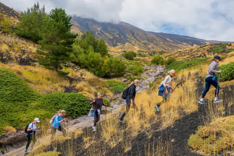 Group of people ascending a dirt trail with large weeds and bushes