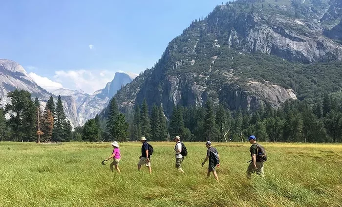 Easygoing Walking Tour California's Yosemite