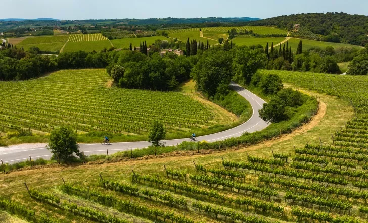 Two guests cycling down vineyard road towards villa.