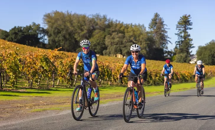 Four guests cycling down vineyard road.