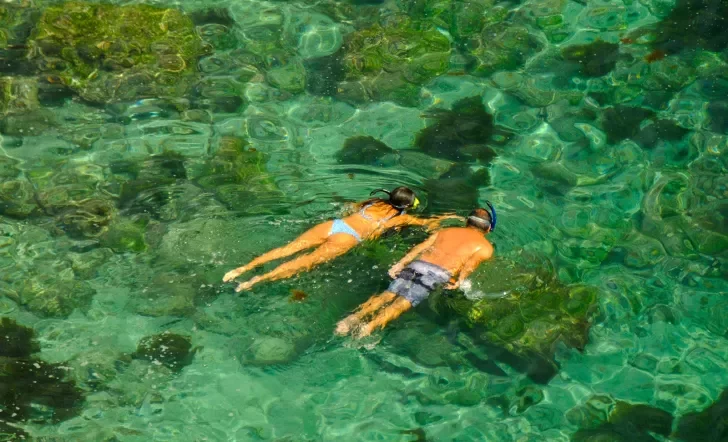Two people snorkeling 