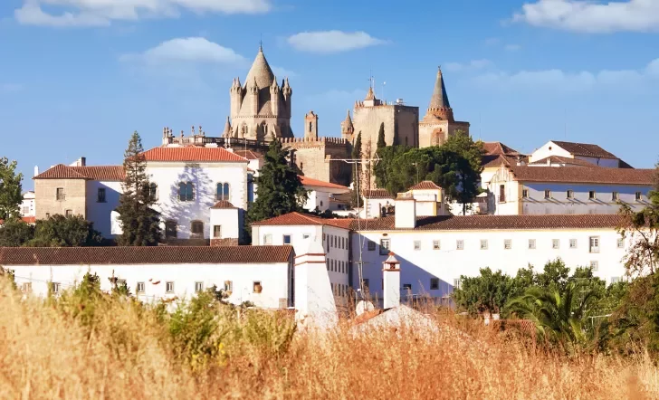 Wide shot of the Cathedral of Évora from a golden, grassy hill.