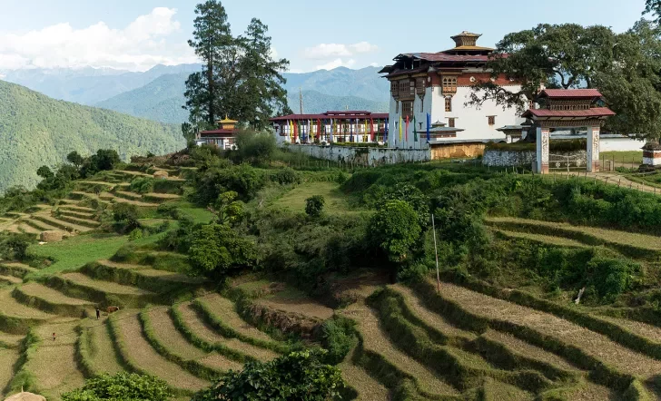 Terraced fields in Bhutan