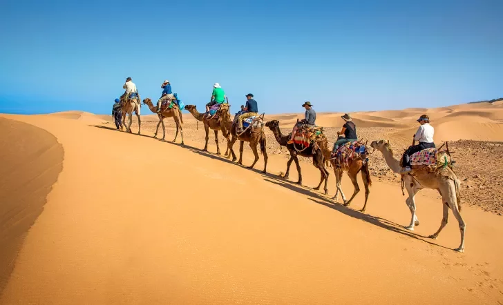 Row of travelers on dromedaries walking along sand dune