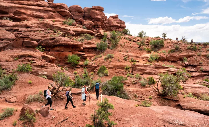 Four guests hiking on desert trail