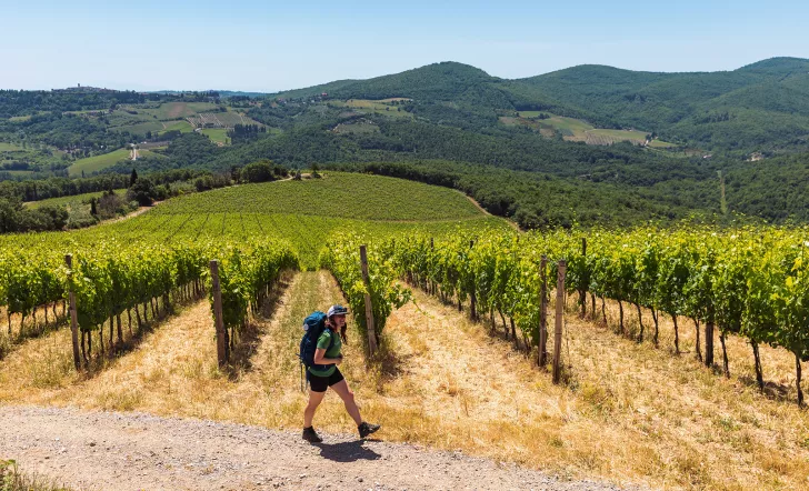 a backroads guest walks through a vineyard